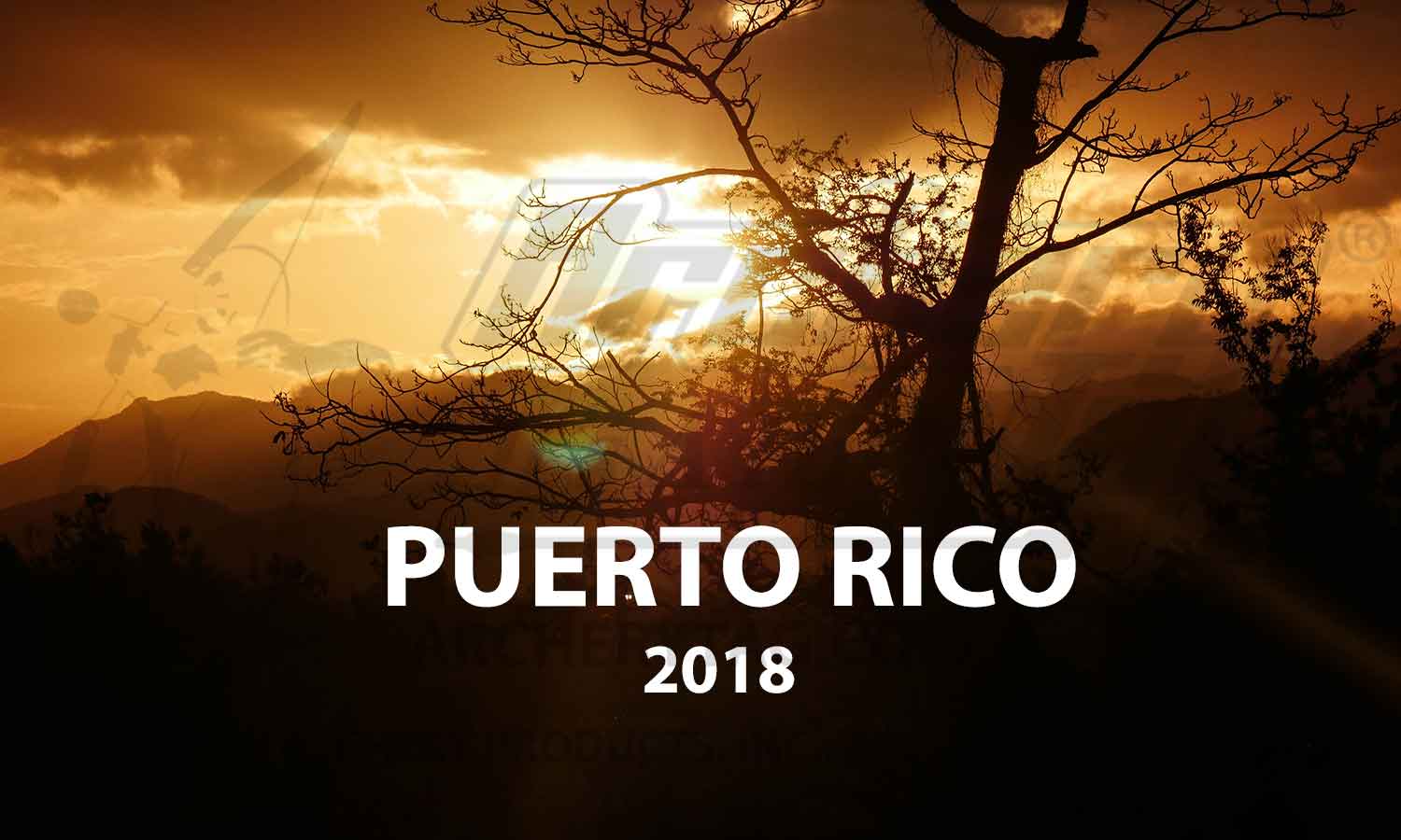 Puerto Rico Relief Tour