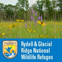 Logo for Rydell NWR