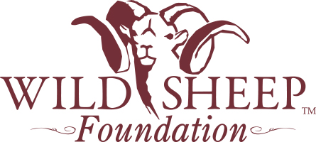 Logo for Wild Sheep Foundation