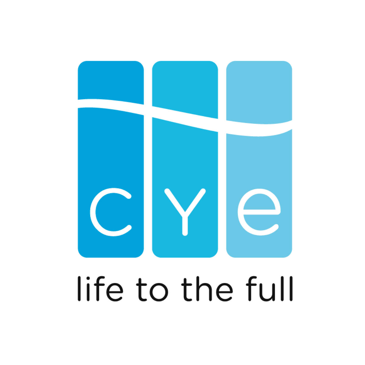 Logo for Christian Youth Enterprises